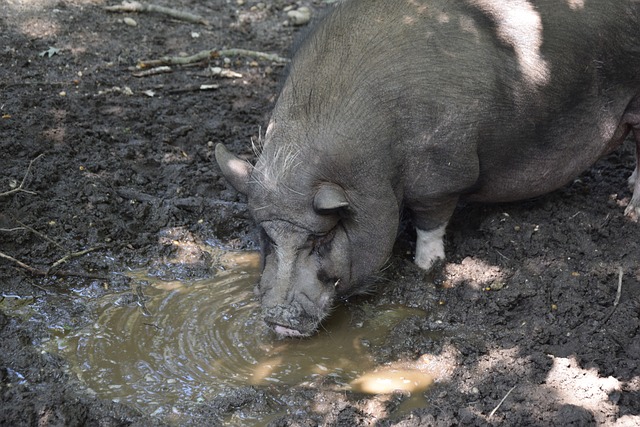 孙兴慜：现在我们需要思考如何更好地准备接下来的世界杯
